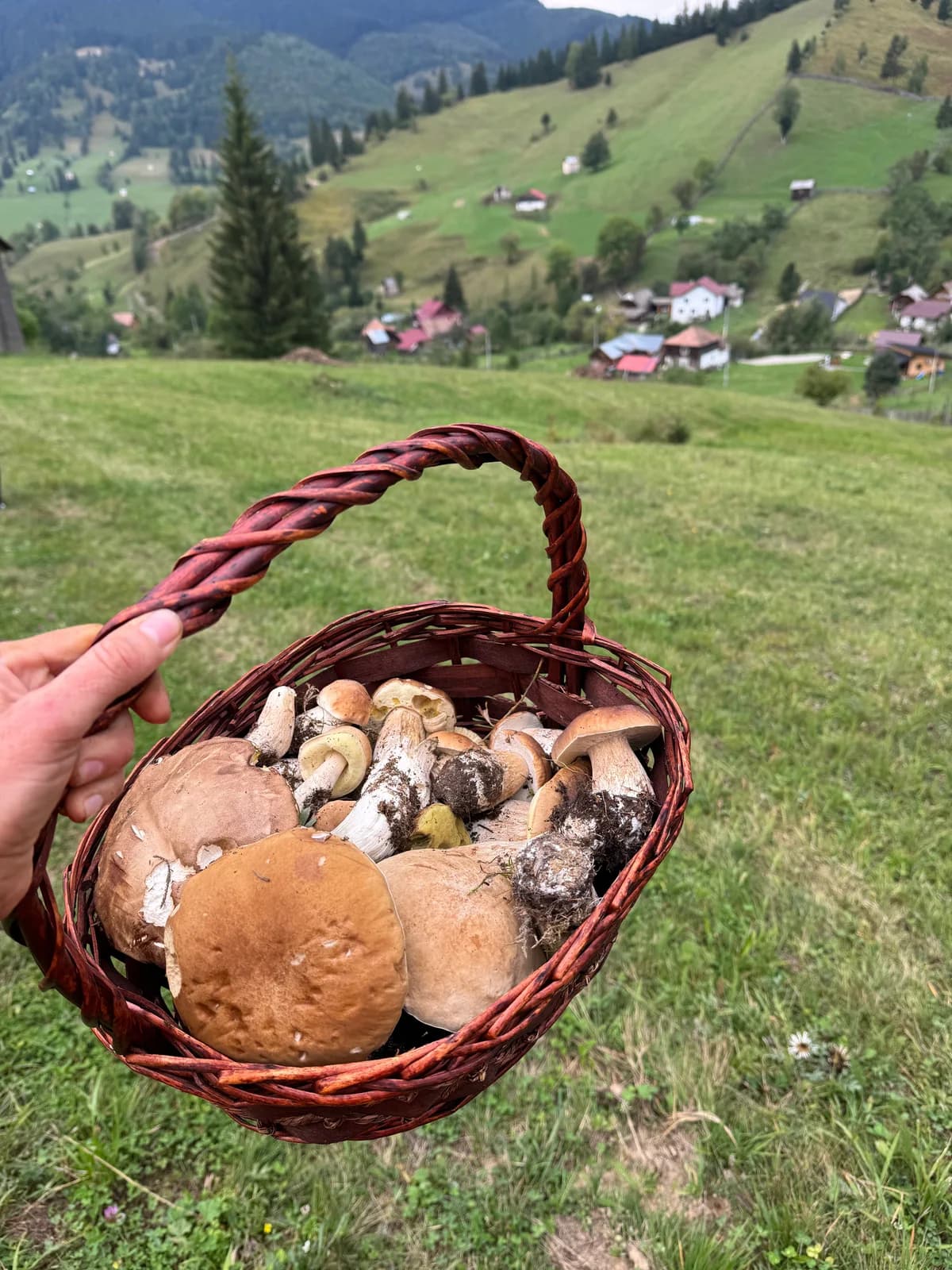 Coș verde